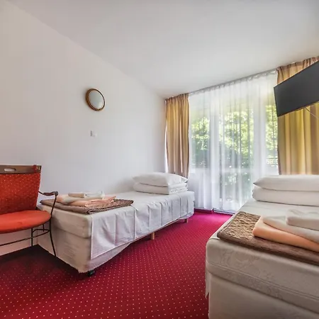 Delfin Krynica Morska