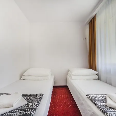 Delfin Krynica Morska