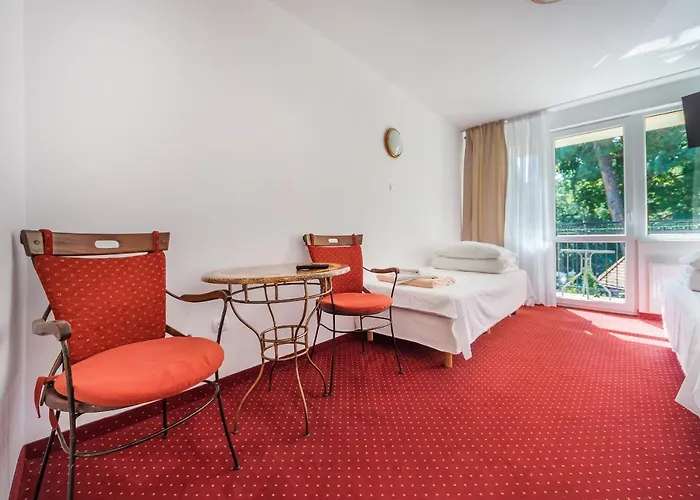 Delfin Крыница-Морска